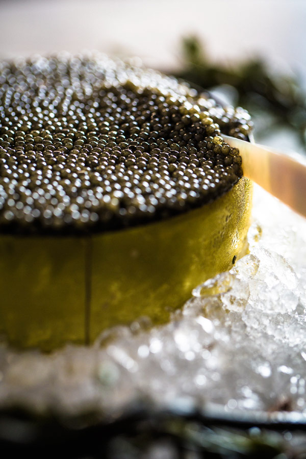 photo_food_gallery4.jpg