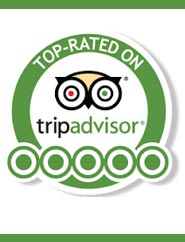 trip_advisor_2017.jpg